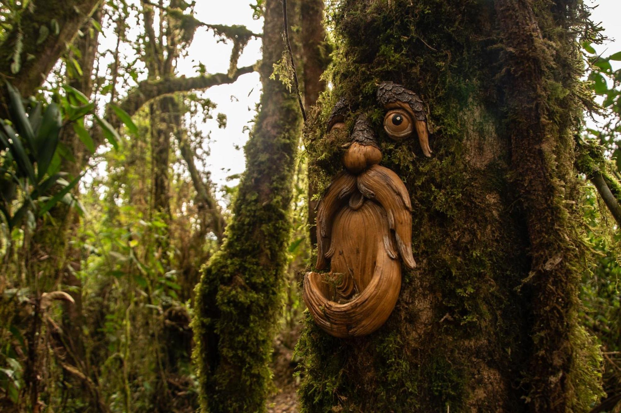 Villa Owl'S Watch At Rio Blanco Manizales Exterior foto